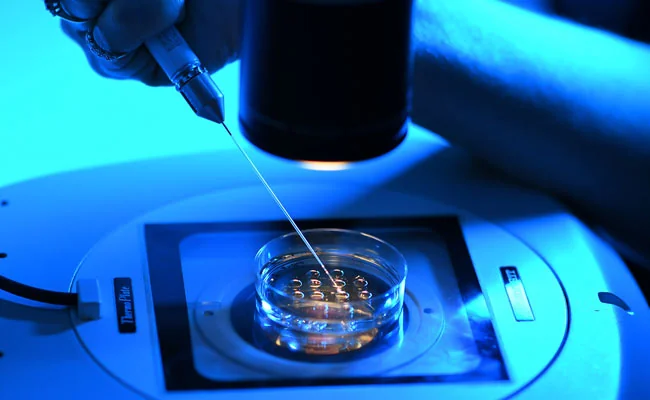 Embryology Training Program