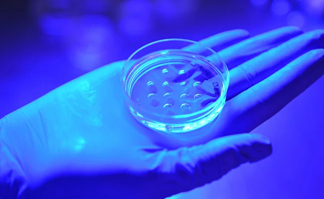 Career Advancement in Embryology