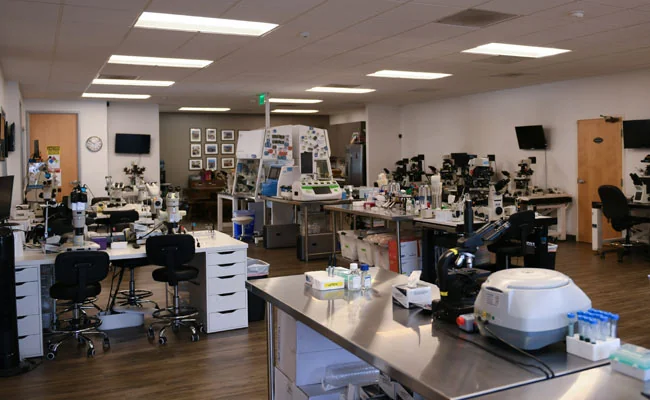 Embryology Career Success